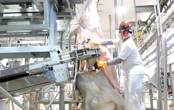 meat processing plant