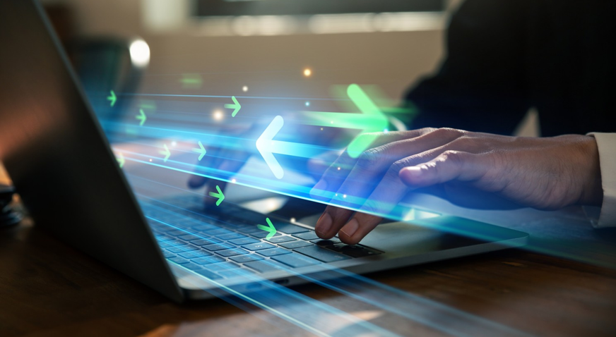 Fish Cyber Security 1