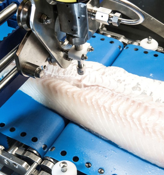 Pinboe Pinboning solutions for the fish processing industry | JBT Marel
