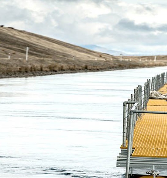 Mt Cook Alpine Salmon