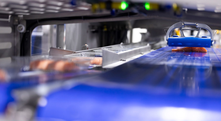 Robo Packer Salmon 3