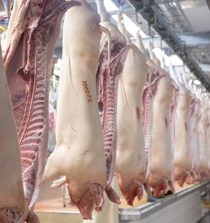 M Line Splitting Saw MSS TT