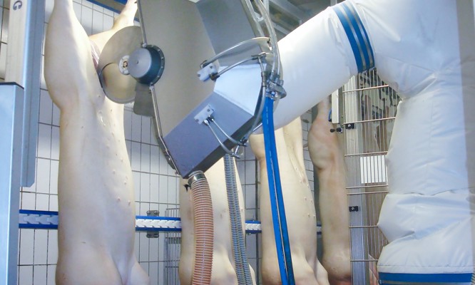 M-Line Pre-Cutter and Belly Opener (MPB)