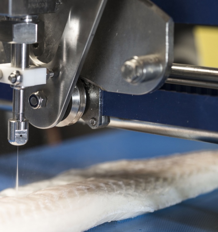 flexicut whitefish processing equipment