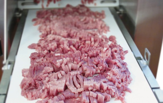 MAJA ESB-SH circular blade cutter for poultry strips