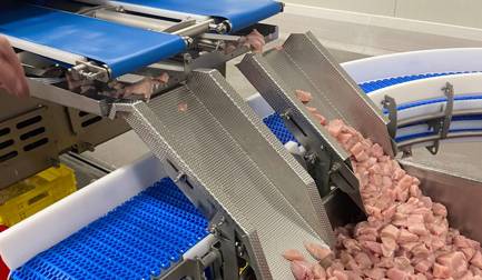 Production industrielle et professionnelle de produits de niche