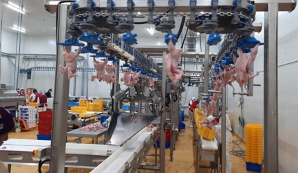 Passer de la volaille entière aux morceaux de poulet découpés