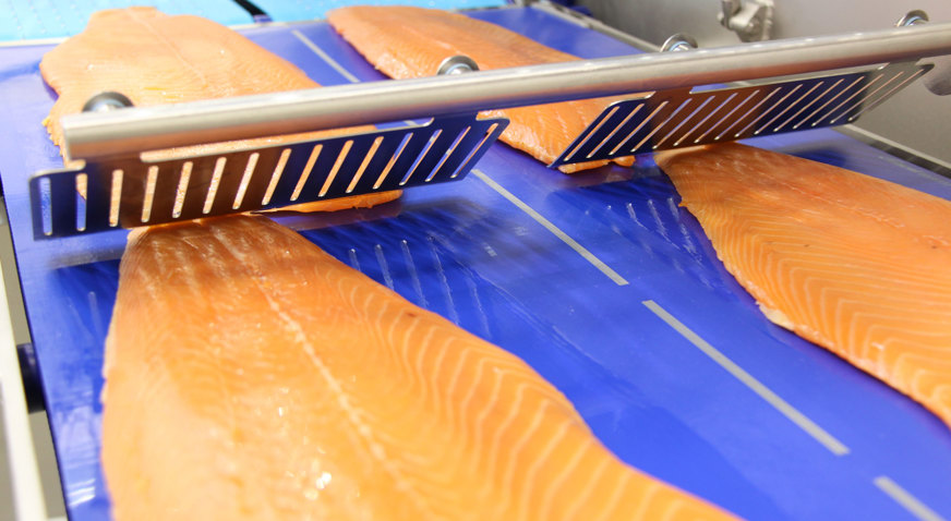 Salmon Slicing MSC 255 End To End