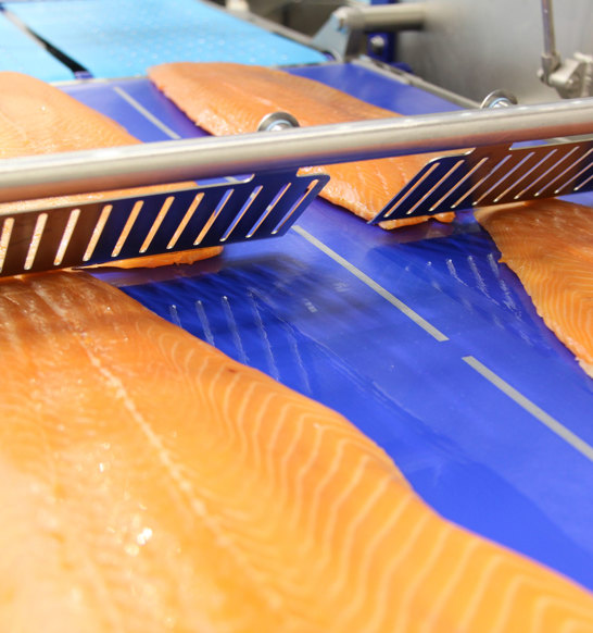 Salmon Slicing MSC 255 End To End