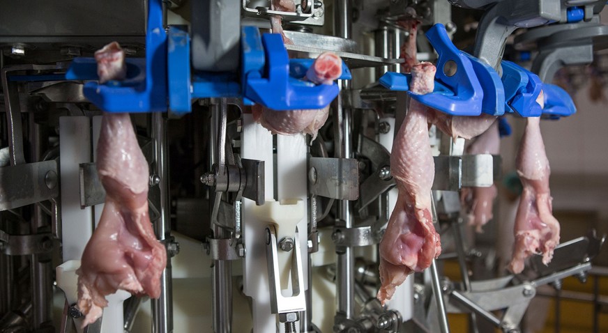 thigh drumstick deboning broiler