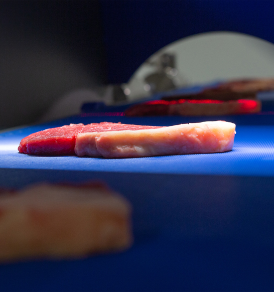 Marel Quality Control Food Processors