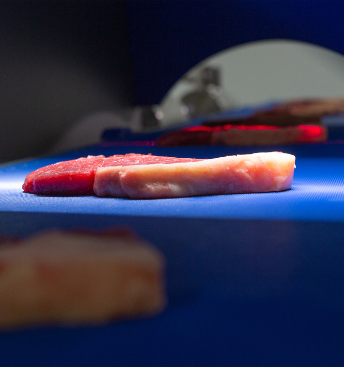 Marel Quality Control Food Processors