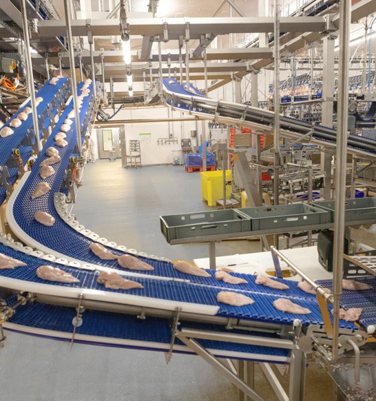 Systemflex Endurabelt2401