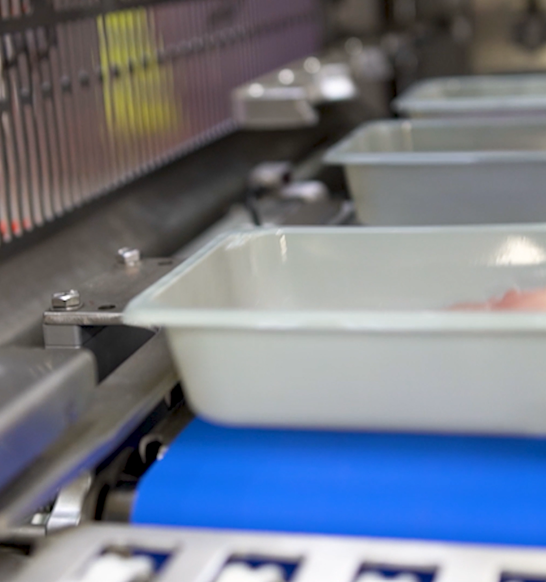 JBT Marel Prepared Foods Proseal Tray Sealing