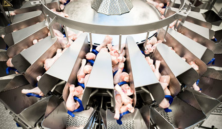 Service KnowHow: Getting the most from your Multihead Weigher