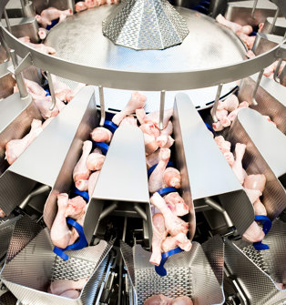 Service KnowHow: Getting the most from your Multihead Weigher