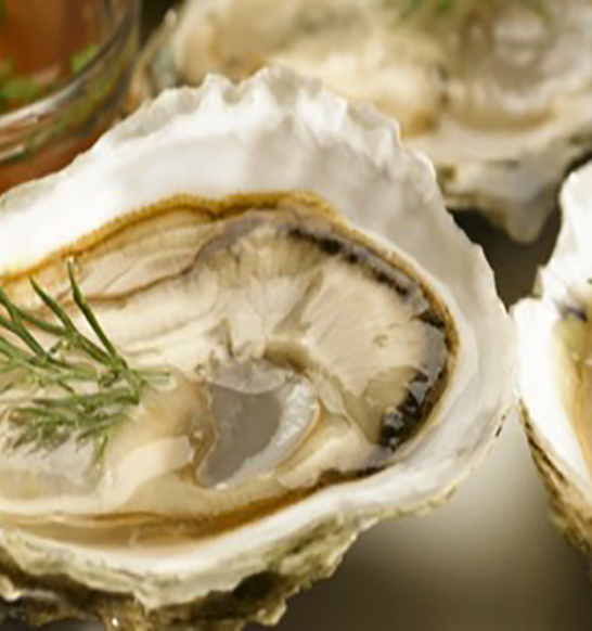 JBT-HPP-oysters