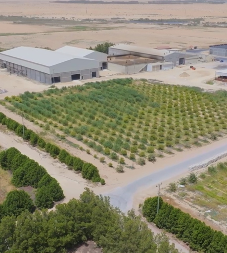 Addoha Green Irrigation