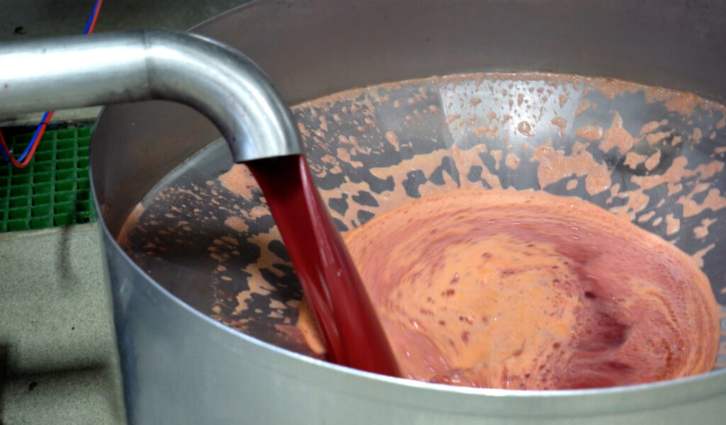 Final Product from Finisher of Blood Orange Juice