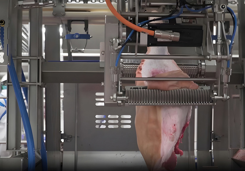 Deboflex Inline Skinner 2