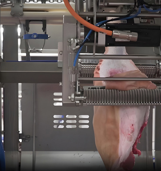 Deboflex Inline Skinner 2