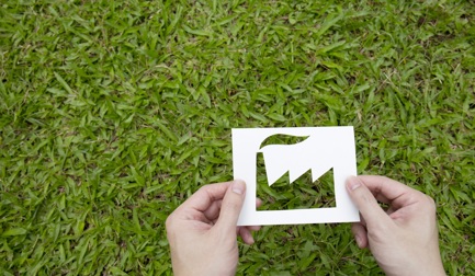 Sustainability reports and governance