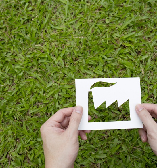 Green And Sustainability