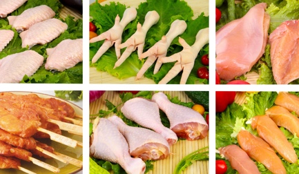 Uma planta totalmente nova de 15.000 aph para a Zhonghong Sanrong