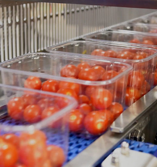 2022-07-12-Proseal-Open-Day-02-e1666373371734