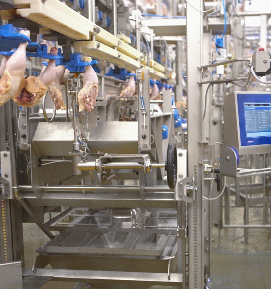 ALPINE Man Screen Outfeed