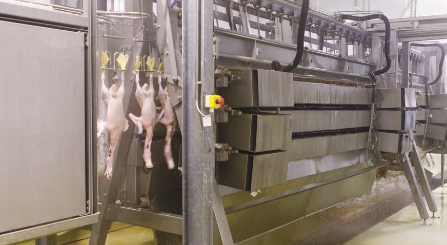 Duck Processing What are the hot topics in duck processing? | JBT Marel