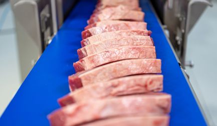 Porcionadora TREIF Puma