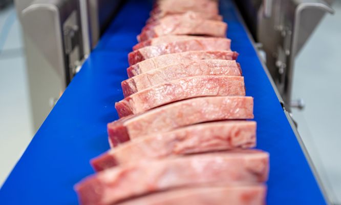 TREIF PUMA portioner