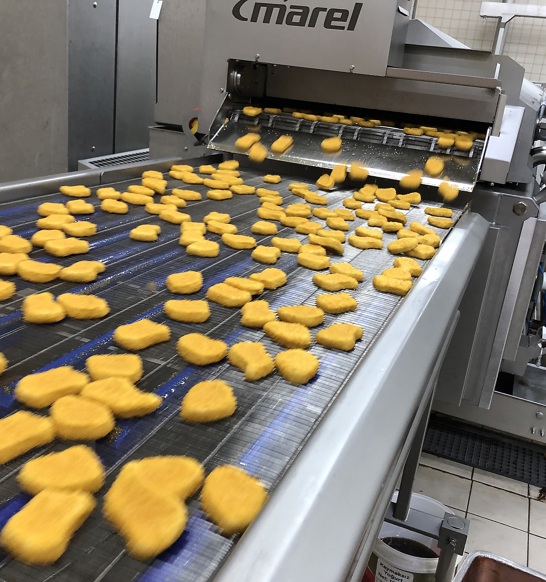 Banvir Record Nuggets Coming Out Of Fryer