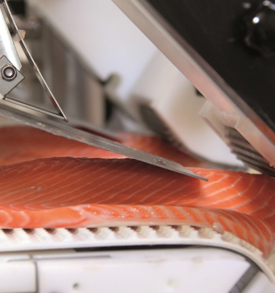 Pinboe Pinboning Solutions for the Salmon Industry | JBT Marel