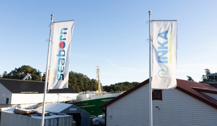 INKA’s growth comes taking chances and strong relationships