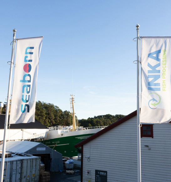 Inka Salmon Processing Facility2