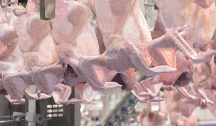 « Nous avons conçu le bâtiment en fonction du process »