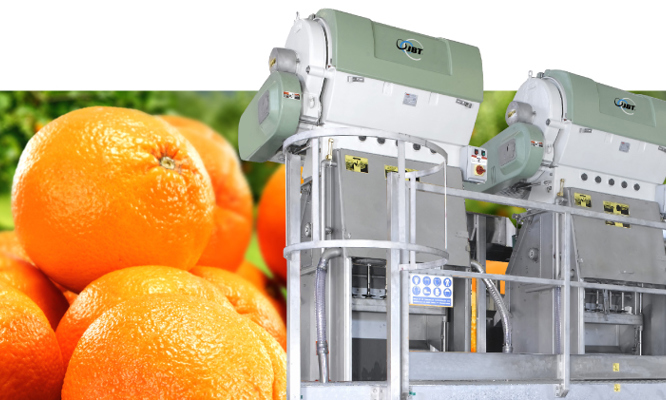 Citrus Juice Extractor