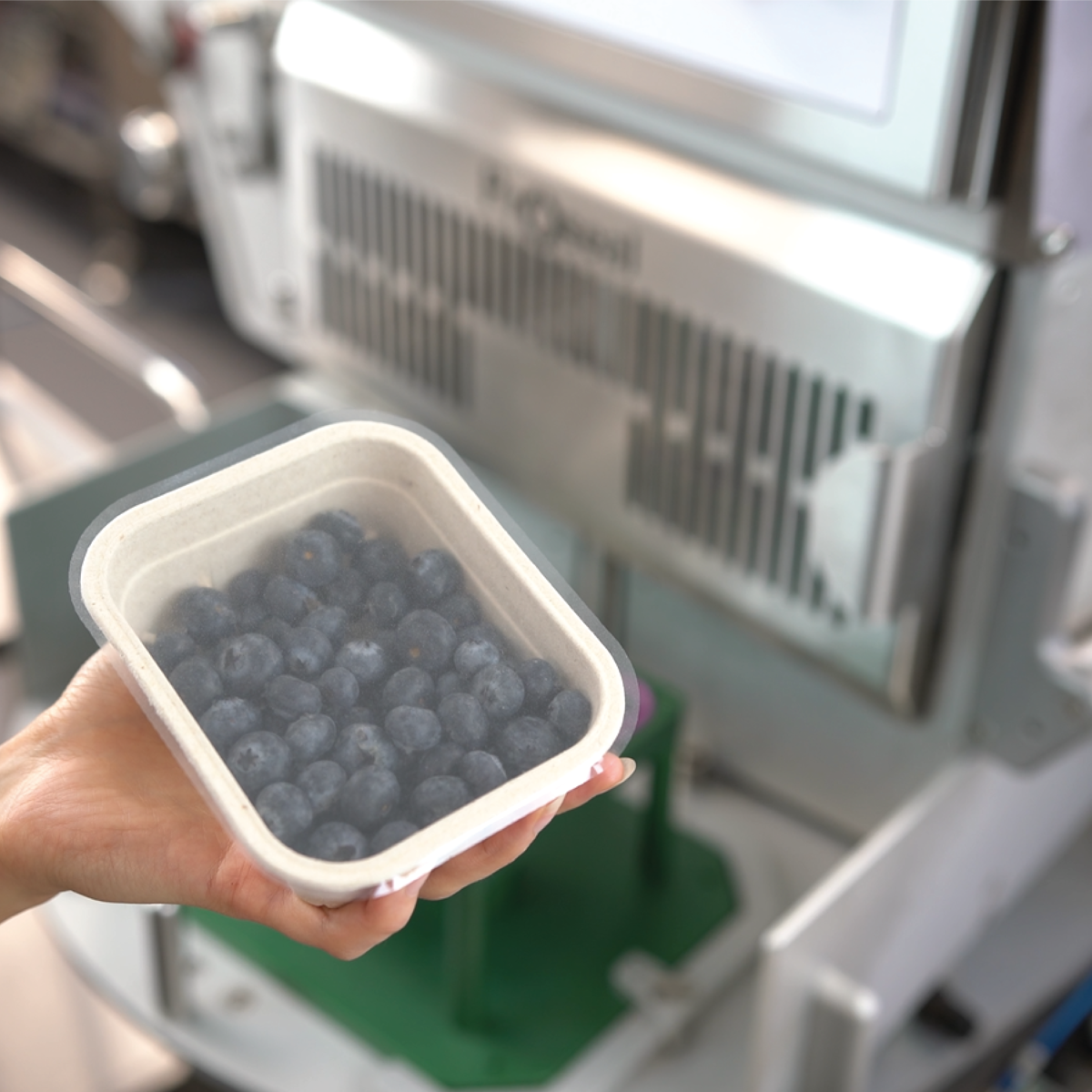 Tray sealing and conveying for fresh produce pack lines | JBT Marel