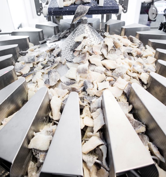Multihead Weigher Salted Cod