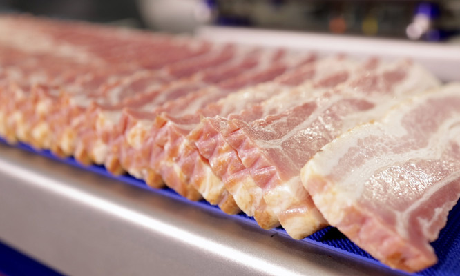 TREIF HAWK portion cutter 