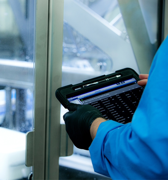 Marel Increase Throughput