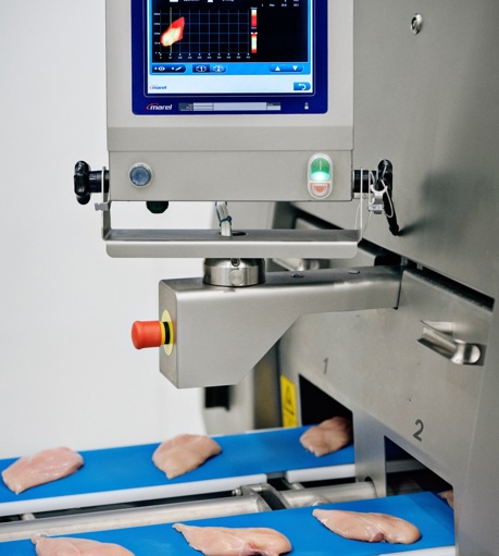 I Cut 122 Trimsort Infeed Big Fillets2