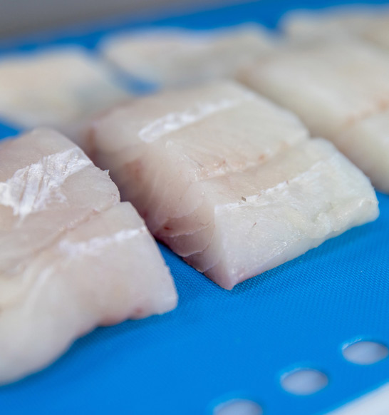 Portioning And Dicing White Fish