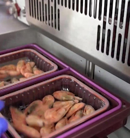 Tray Sealing Semi Automatic Seafood
