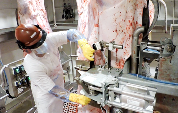 meat processing equipment