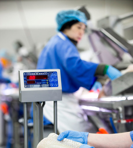M1100 Asia Whitefish Processing