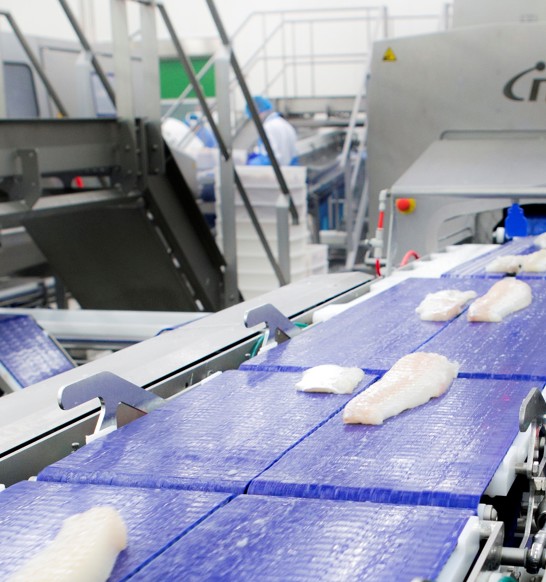 Fish Processing Filet Fillet processing systems for the whitefish processing industry | JBT Marel
