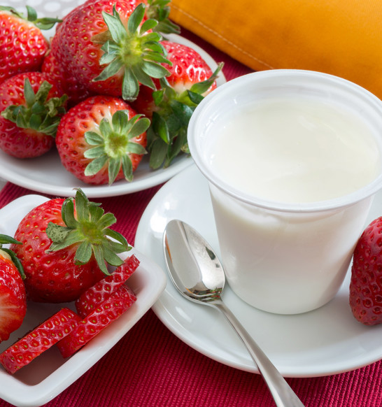 Yogurt Processing General